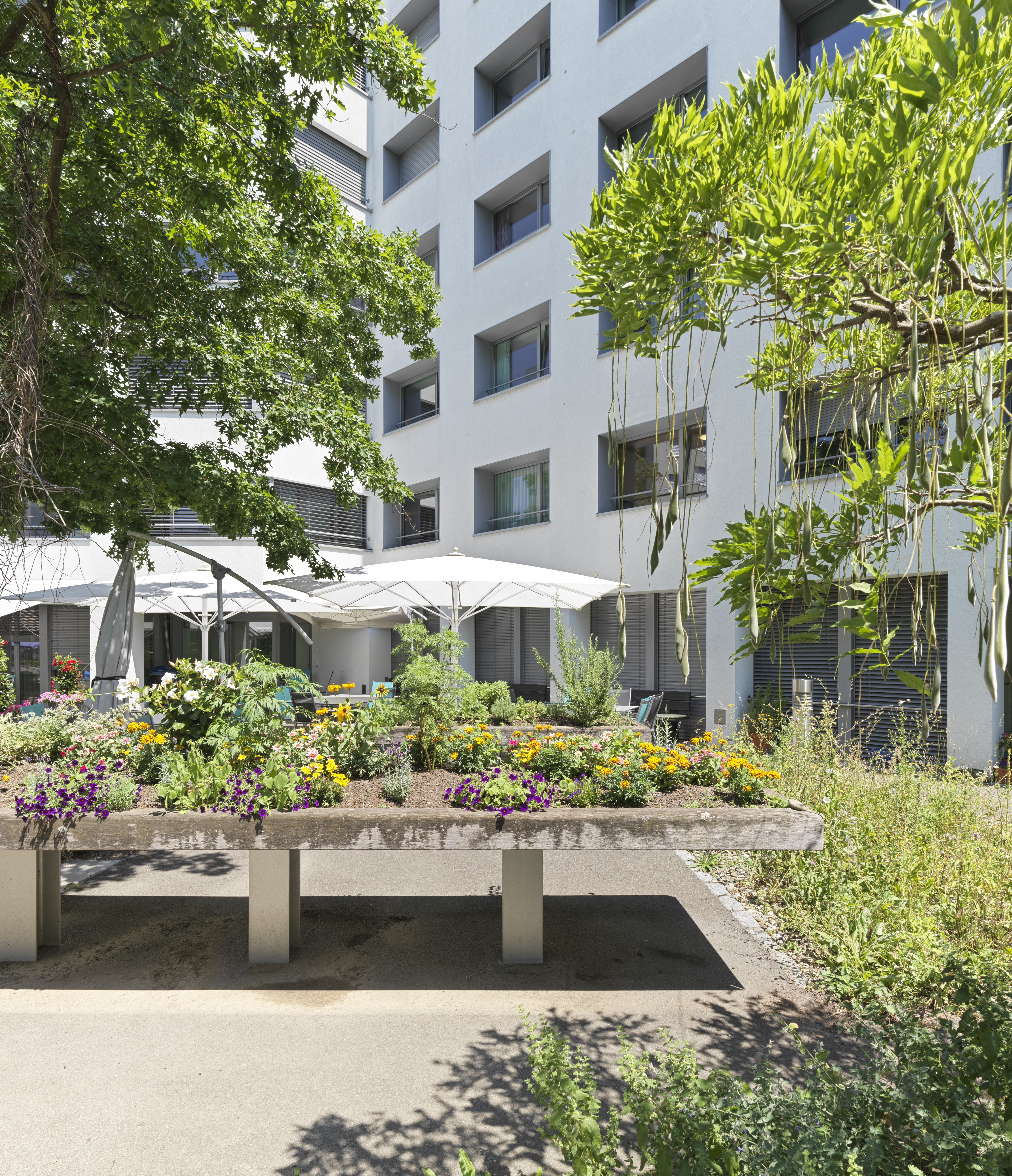 Company Description Image