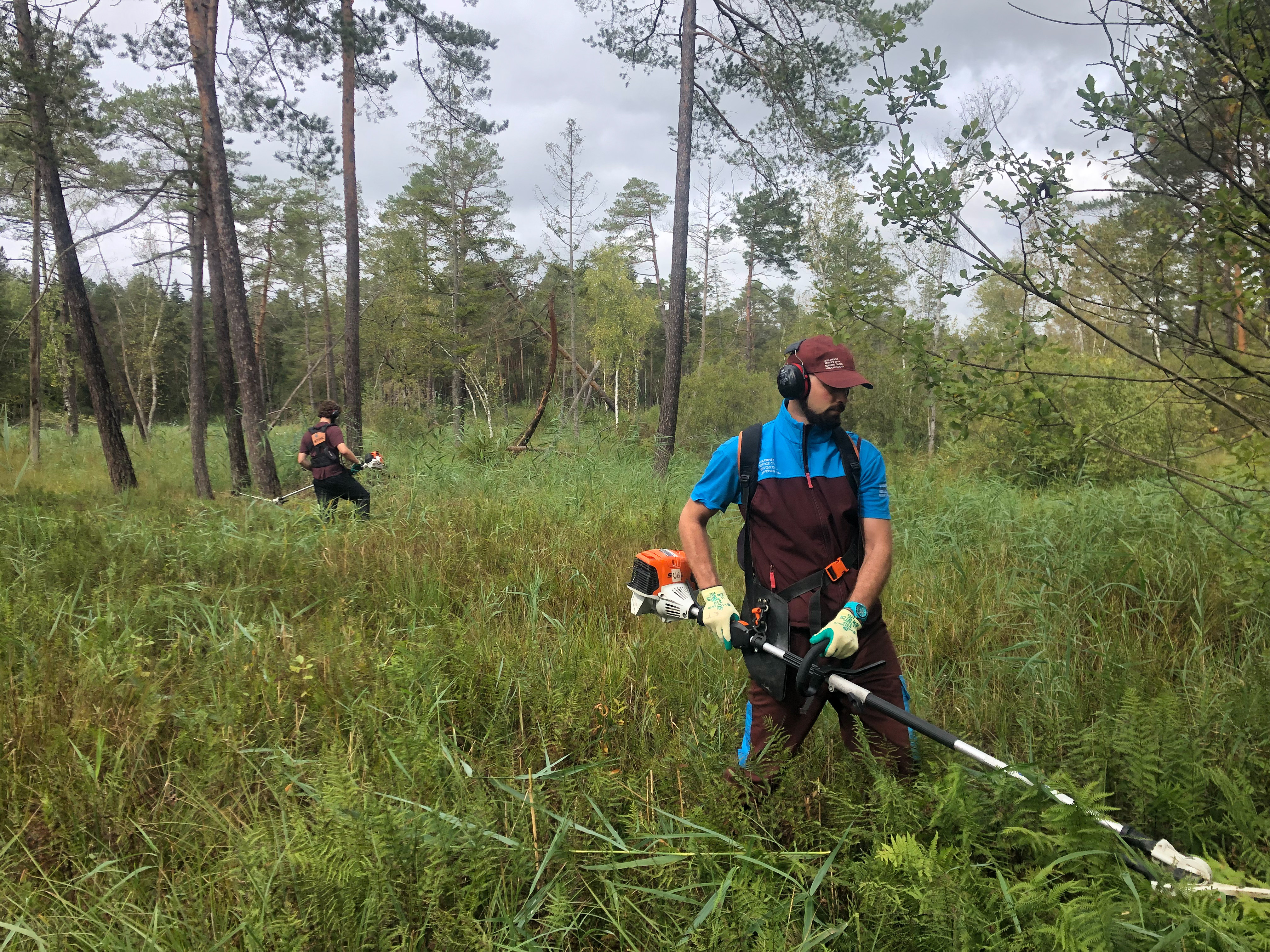 Company Description Image