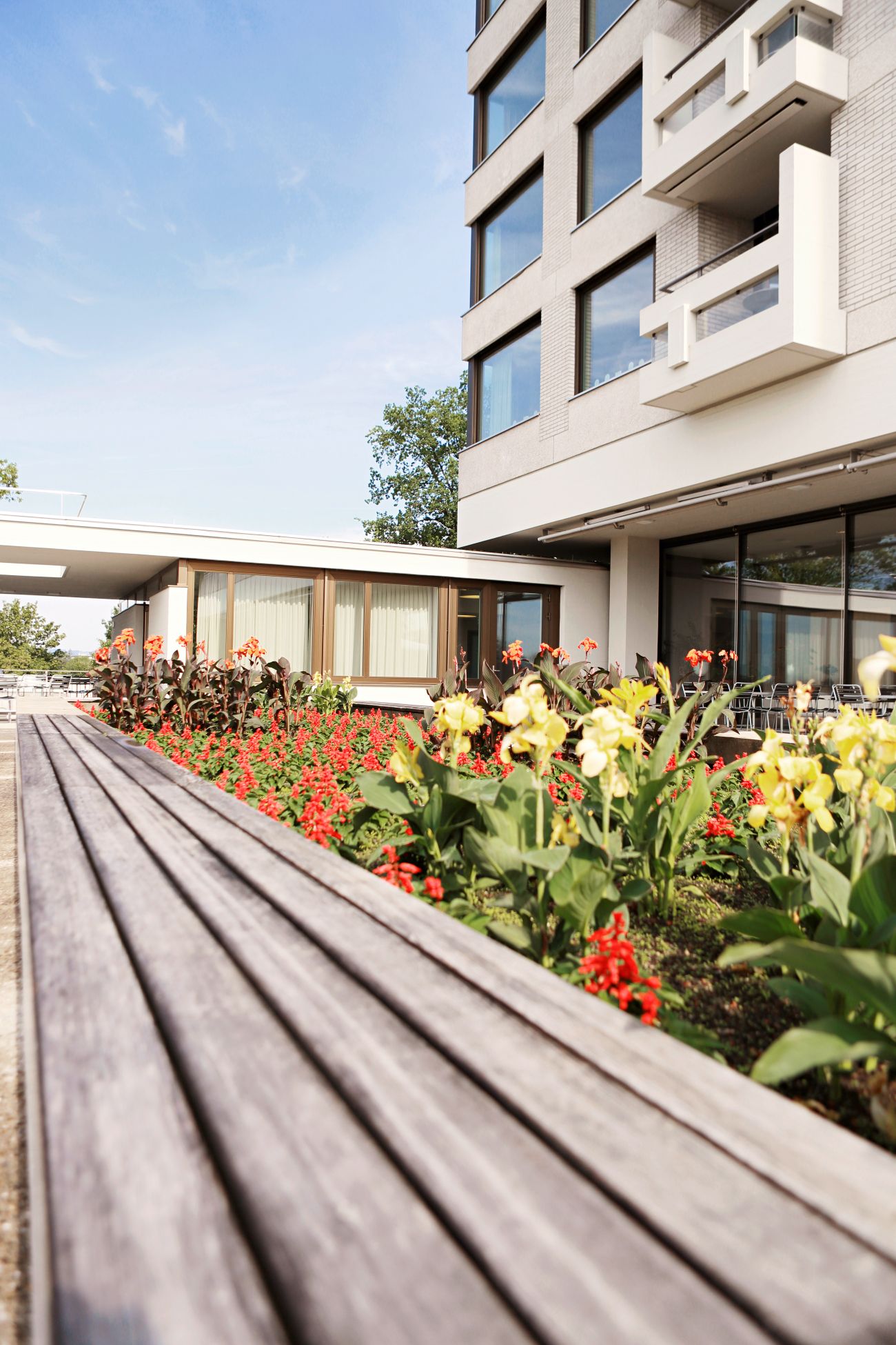 Company Description Image