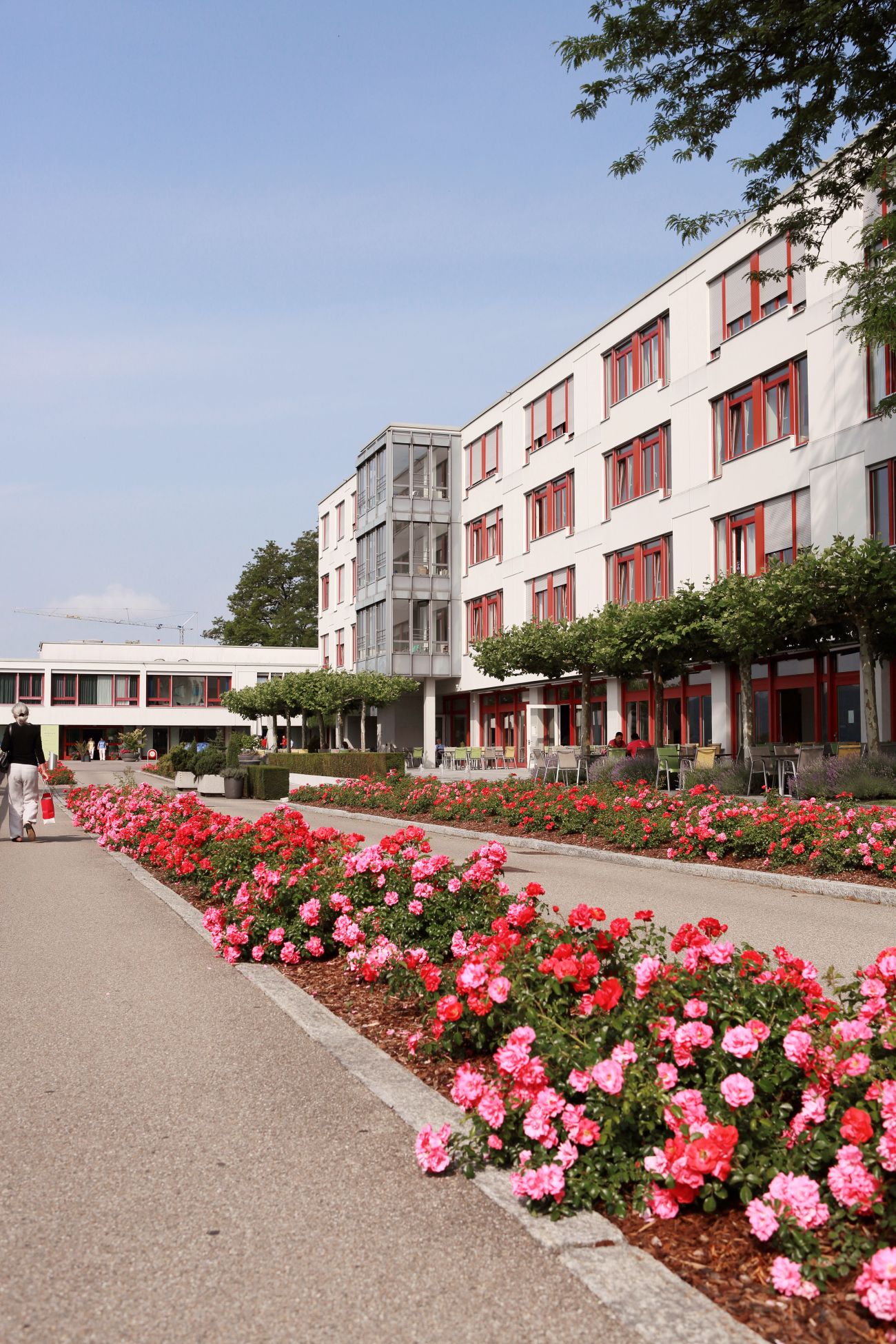 Company Description Image